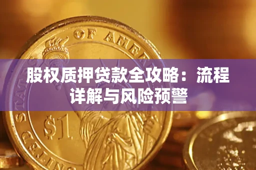 北京股权质押贷款全攻略：流程详解与风险预警