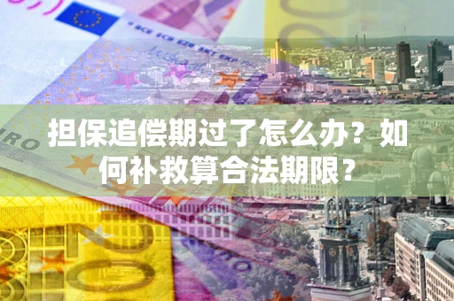 北京担保追偿期过了怎么办？如何补救算合法期限？