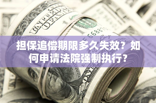 北京担保追偿期限多久失效？如何申请法院强制执行？