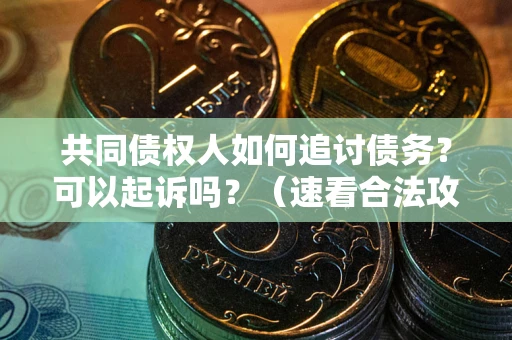 北京共同债权人如何追讨债务？可以起诉吗？（速看合法攻略）